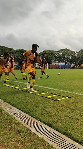 💛🖤 | ASEC Mimosas