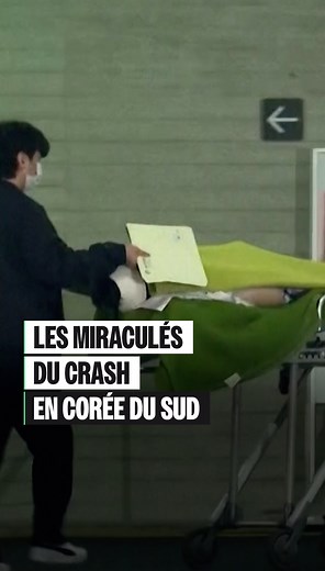 Loopsider | Voici deux miraculés : les seuls survivants parmi les 179 victimes du crash d’un avion de la compagnie Jeju Air, qui s’est écrasé à... | Instagram