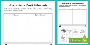 Animal Hibernation Sorting Worksheet