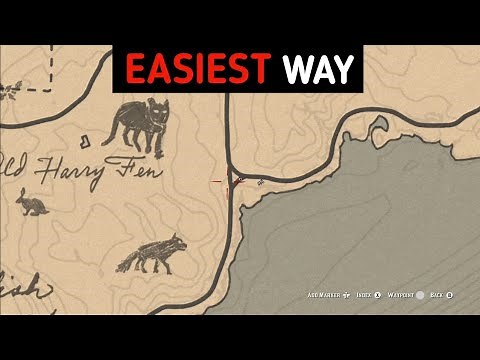Proper Way To Hunt Perfect Panther - RDR2