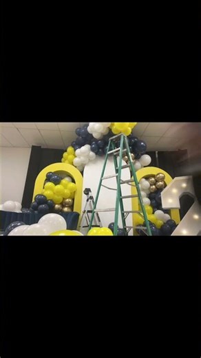 Balloons for any party celebration. Ceiling installations.