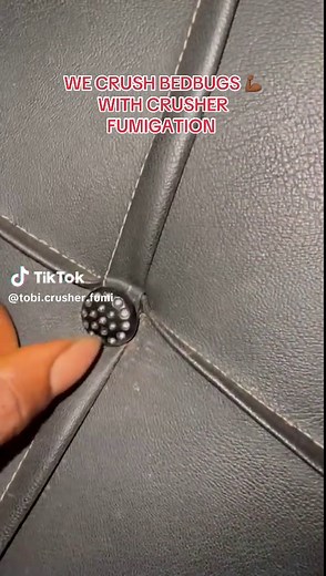 Effective Bed Bug Removal Through Fumigation