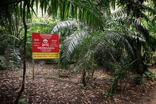 ST Explains: What are gazetted, protected areas, and which are you not allowed to enter?