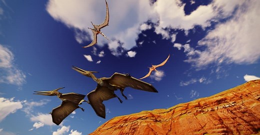 Pterodactyl vs Pteranodon: What’s the Difference?