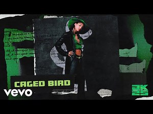 Alicia Keys - Caged Bird (Official Audio)