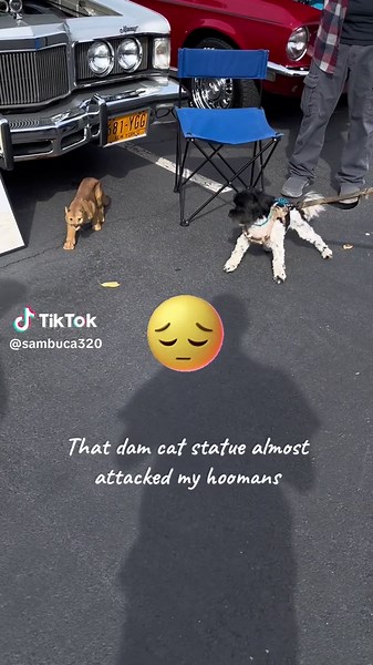 Sambuca (@sambuca320)’s videos with original sound - Soul Songs