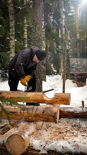 Asbjorn Olsen-Berg on Instagram: "How I begin folded the log cabin of a log house in the forest. Only deadwood . #deadwood #logcabin #offgrid"