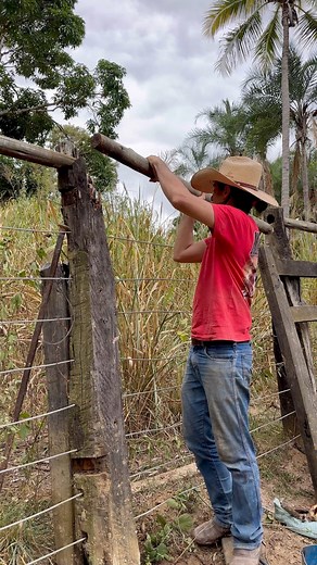 693K views · 6.8K reactions | Como trocar o mourão do curral feito de cordoalha sem tirar as cordoalhas! #lida #curral #roça #mourão #madeira #minasgerais | Stenio Gontijo | Facebook
