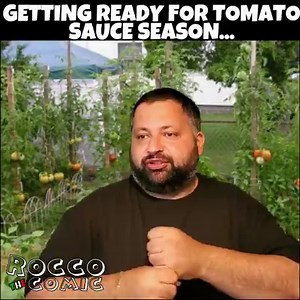What's your job when its time to make sauce? 🍅 🍅 🍅 | Rocco the Comic