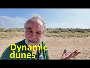 How sand dunes are formed