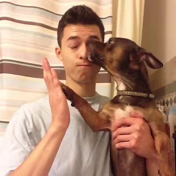 If you love animals, you will love this 💕 | Try Not to Laugh