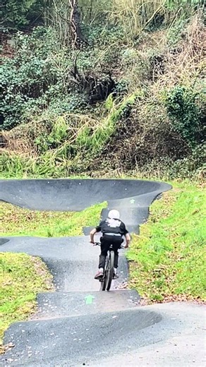 Riding the Pump Track: Learning Small Whips