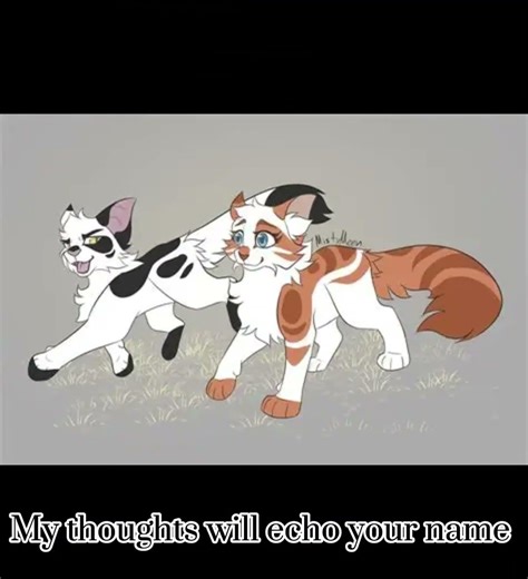 Enchanted Swiftpaw x Brightpaw. #warriorcats