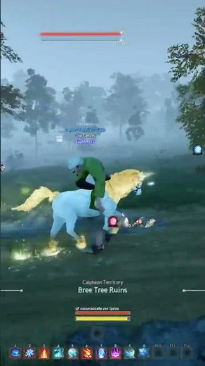 Identify the Map of Unknown Piece In Black Desert Online (BDO) - Caphras Cave