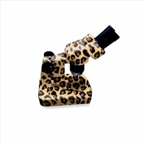 "Lab Group I" - Lab Group