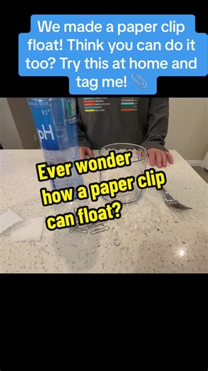 Science Lab: Ever wonder how a paper clip can float? Let’s dive into the science behind it! 📚✨ #ScienceIsCool #LearningIsFun #ScienceExperiment #GravityDefied #ScienceTricks #DIYScience #MysteryScience #SimpleScience #labmagic #science #scienceismagic #science101