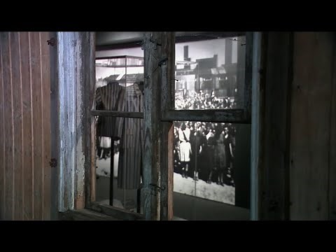 Auschwitz exhibit, largest in US history, set to open in New York City museum