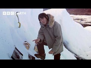 Brian Cox on the Most Fascinating Picture in Space's History | Wonders Of The Solar System