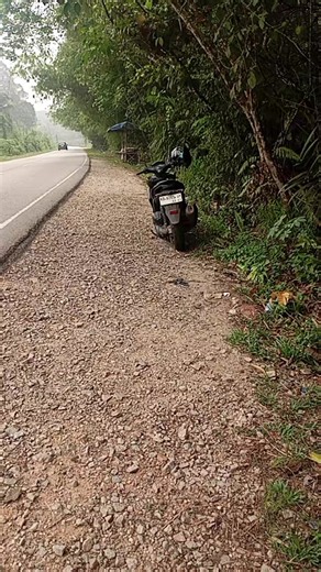 Buah Kuranji: Buah Langka dari Hutan Kalimantan