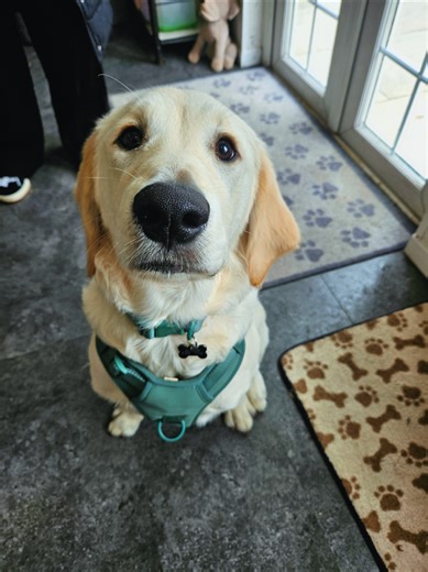 Cooper's 1st Groom: A Handsome Transformation