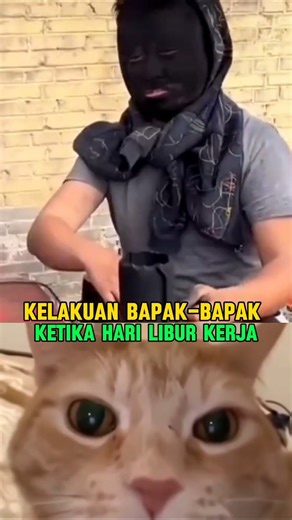 bapak-bapak gabut 🗿 #cats #memes #shorts