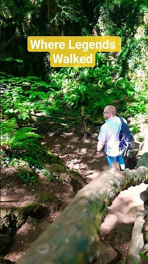 Lost in Puzzlewood: A Journey Into Middle-earth | Forest of Dean #fairytales #LOTR #TheHobbit #fyp