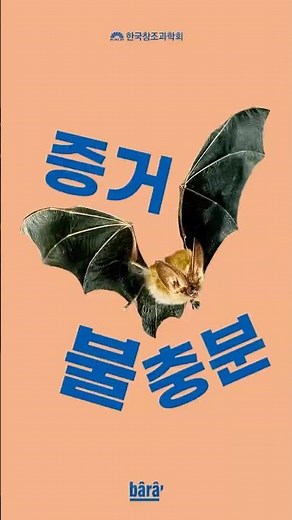 증거 불충분 #이슈 #지식 #창조 #동물 #창조과학 #창조론 #intelligentdesign #박쥐