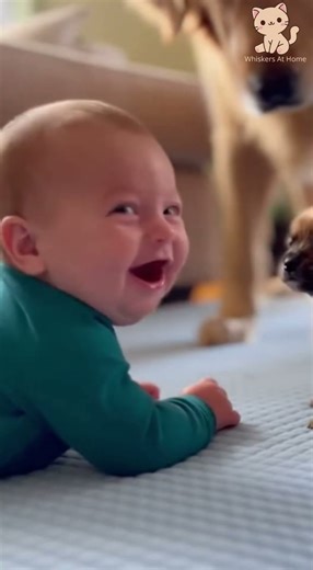 🤯 Baby & Puppy Moments So Cute… Your Heart Might Explode!