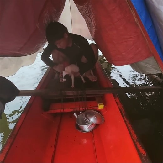 32K views · 1K reactions | Incredible Heavy Rain and Strong Winds While Camping by the River Cozy Canoe Shelter | Raelyn | Facebook