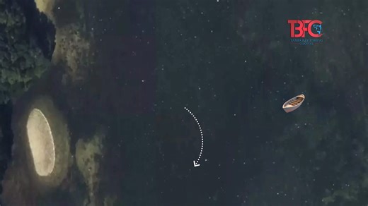 102K views · 440 reactions | This is how I approach fishing an oyster bed. I always look for the route the fish will take when the tide is incoming and outgoing. I typically like the outgoing tide as I like the fish to move away from structure. https://www.tampabayfishingchannel.com/ | Tampa Bay Fishing Channel | Facebook