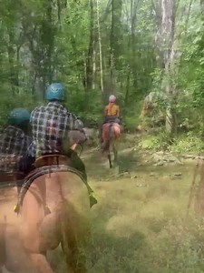 SAVE $5 OFF SUNDAY TRAIL RIDES DATES in 2025 WITH *COUPON CODE* "sundaydiscount25" The warm weather is finally here-Enjoy the outdoors on a Lehigh Valley Horseback Trail Ride! We offer 2 ride locations to choose from! Spots fill fast! Reserve your ride today! www.lehighvalleytrailrides.com #HorsebackRiding #TrailRides #EquestrianLife #NatureLovers #AdventureAwaits #HorseLovers #OutdoorAdventure #TrailRiding #HorsebackAdventures #ExploreTheOutdoors #EquineExploration #RidingIntoTheSunset #Horseba