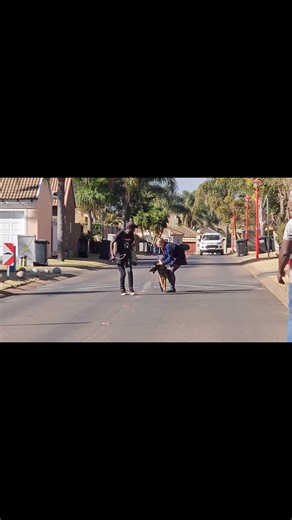 2.6K reactions · 43 shares | Keep your family safe by having your over friendly guard dog trained for you in just a few short weeks !! Wel Done to K9 Katya on successfully completing the K9 Obedience and Attack Training Programme !! * Call / Whatsapp 0825751009 to secure a space for your dog in our next available intake and help them reach their full potential. Spaces are limited. | Comprehensive K9 Solutions | Facebook