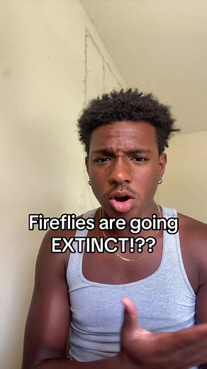 Understanding Fireflies and Their Threat of Extinction