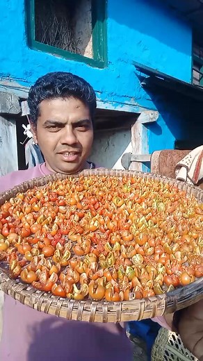 Organic Local Tomato Benefits and Uses