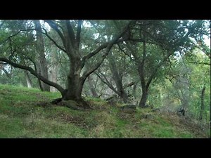 "Deep Peace" Spiritual. Tribute to Bill Douglas