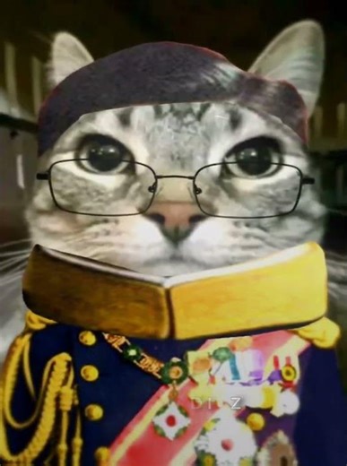 WW2 Japan is much more better#fyp