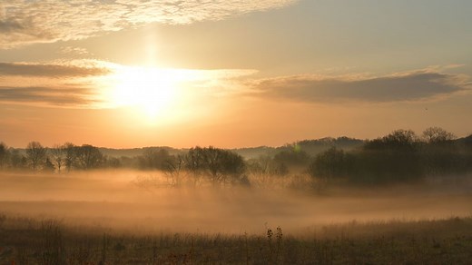 About Us | Whitetail Properties