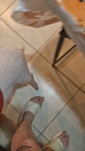 10K views · 213 reactions | Feliz noche les desea la familia Chanchi Colors CR | Chanchi Colors CR | Facebook