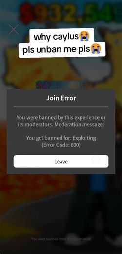 Why Caylus Should Unban Me