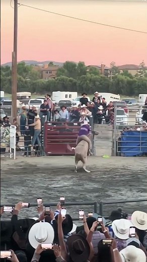 Rodeo Clowns Share FUNNIEST Bull Riding Fails