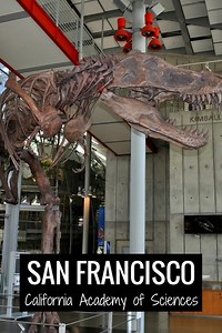 My Experience at the California Academy of Sciences in San Francisco