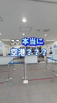 ここ本当に空港？？？調布飛行場が独特すぎた‼️#調布飛行場 #空港 #小型セスナ #dornier