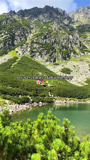Wyślij to osobie, z którą chcesz iść w Tatry ⛰️🌸 #tatry #lato #szlak #góry #wiosna