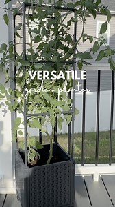This durable, self-watering raised garden bed with a trellis is perfect for tomatoes and climbing veggies. No tools needed, and you can move it anywhere with lockable wheels. This planter makes it simple to achieve a lush, thriving garden. Plus, it’s expandable—connect multiple units to create the garden of your dreams. 🌿🍅 Comment SHOP to elevate your gardening game now and enjoy fresh, homegrown produce right from your patio! #raisedgardenbeds #urbangardening #homegardening #selfwateringplant