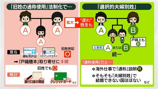 【解説】「旧姓使用」法制化されたら何が変わる？　“夫婦別姓”との違いは…懸念の声も（日テレNEWS NNN）