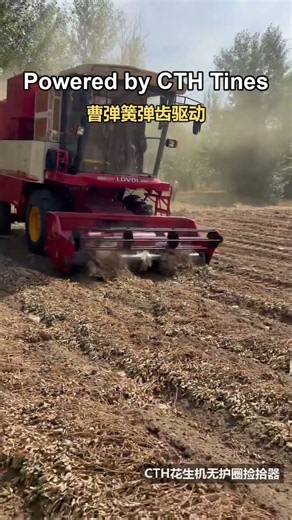 This Peanut Harvester Never Stops — Full Speed Harvest with CTH Pickup Tines (Kailu 2026)