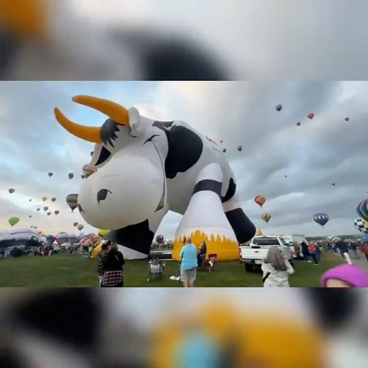 Amazing Ginormous Cow 🐮 hot air balloon 🎈Epic! #wow #moo #tremendous #albuquerque #balloonfestival