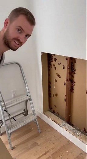 Did Some DIY and Found This #cockroaches