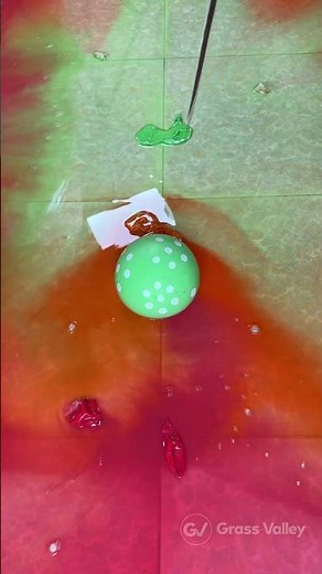 🔵🔴🟣 Amazing 8 Water Balloons Pop | No Talking | ASMR BALLOON | #asmr #balloonpop #satisfyingsounds