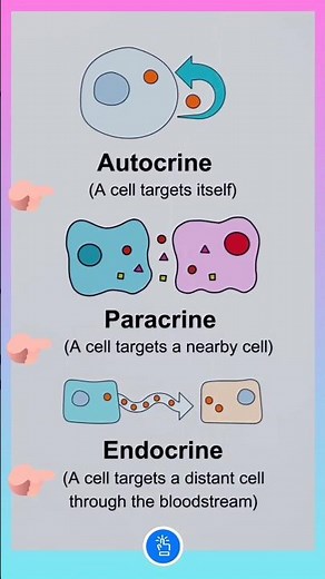 Autocrine, Paracrine, and Endocrine Signalling...